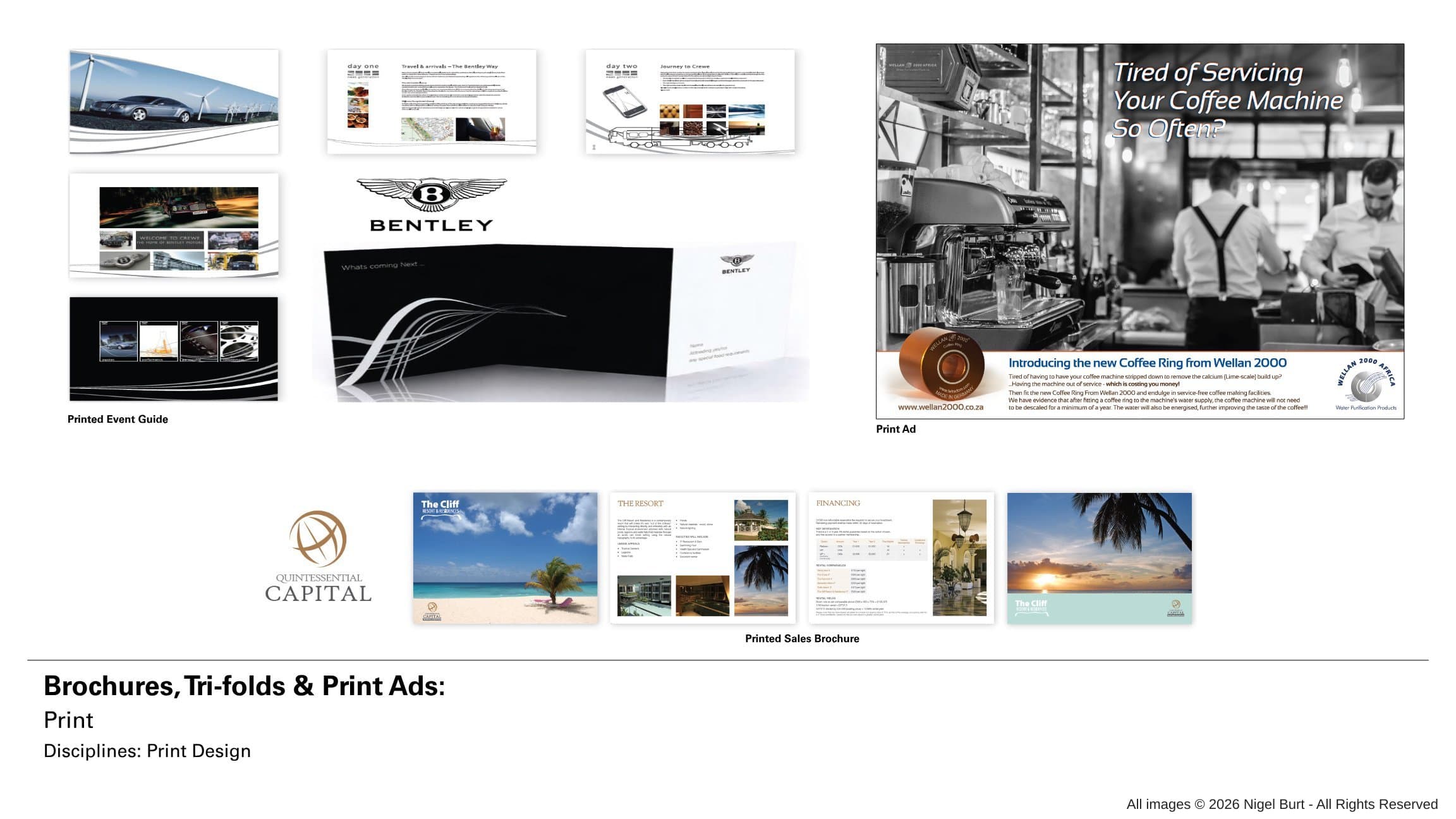 Brochures, Tri-Folds & Print Ads portfolio visual