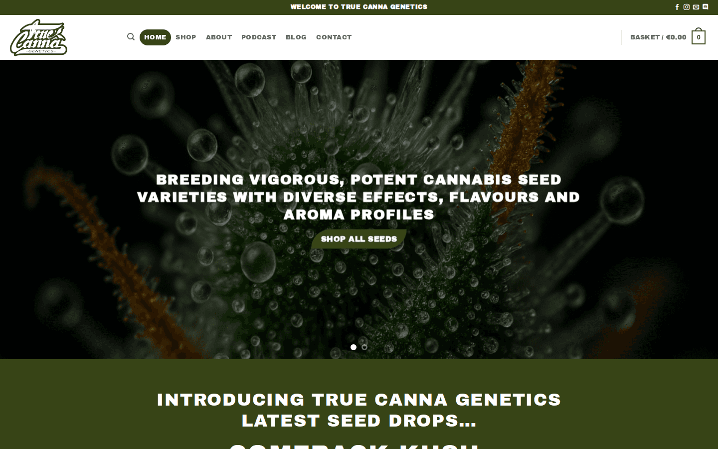 True Canna Genetics portfolio visual